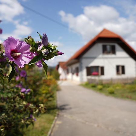 House Of Culture And Nature - Hisa Kulture In Nature Zagradec المظهر الخارجي الصورة