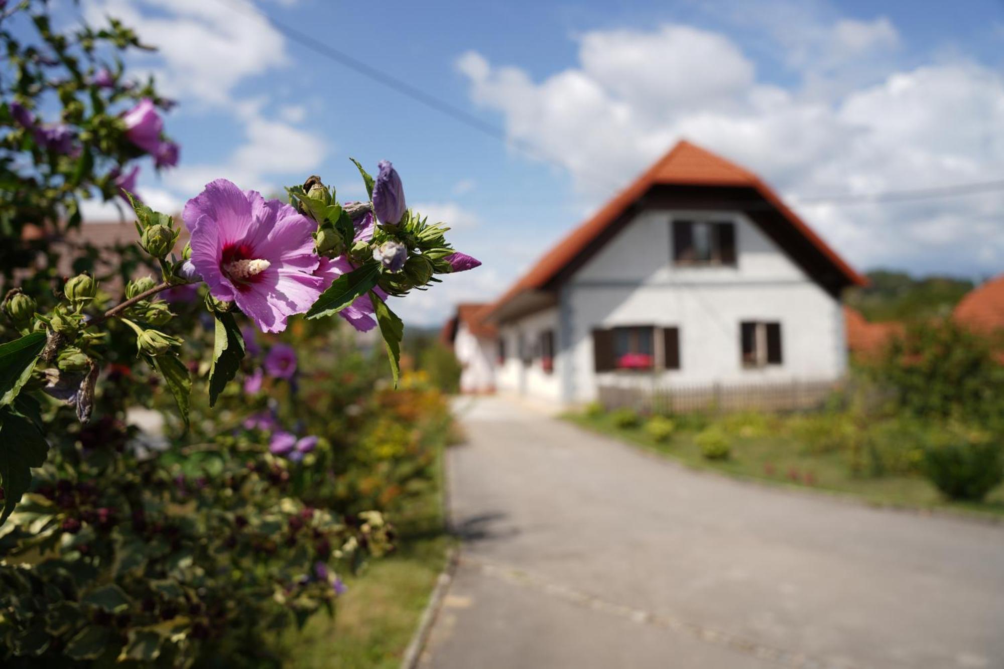 House Of Culture And Nature - Hisa Kulture In Nature Zagradec المظهر الخارجي الصورة